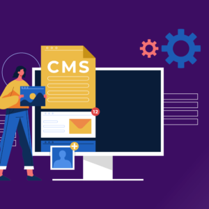 Përdorimi dhe menaxhimi i CMS-së