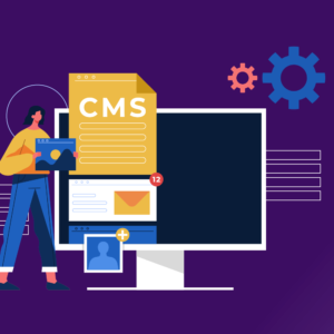 Përdorimi dhe menaxhimi i CMS-së